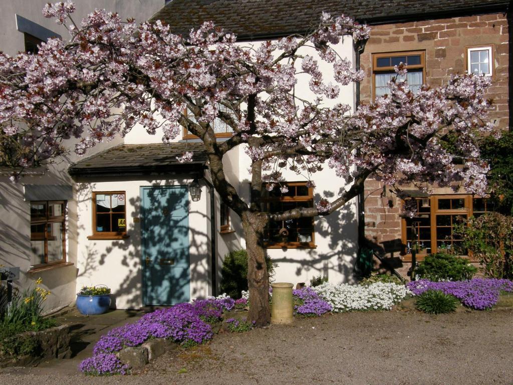 Lea House Bed And Breakfast Ross-on-Wye Extérieur photo