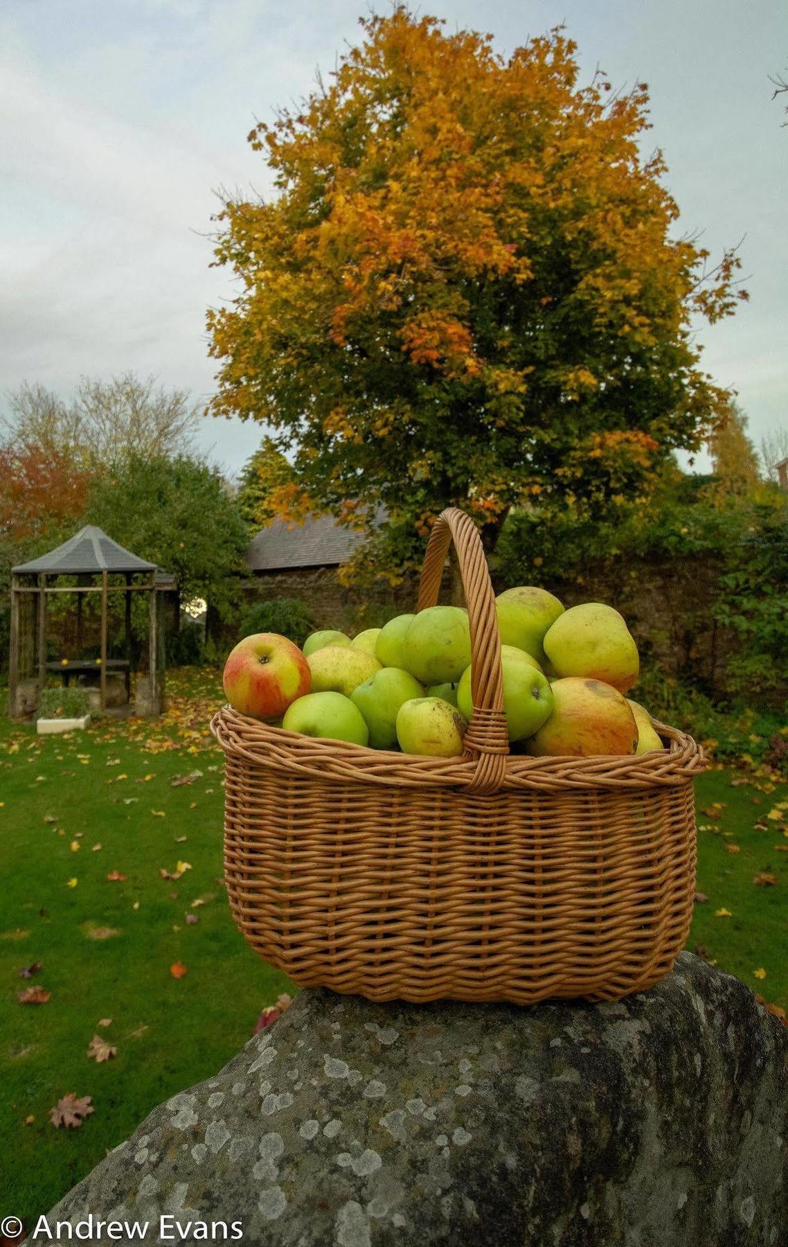 Lea House Bed And Breakfast Ross-on-Wye Extérieur photo